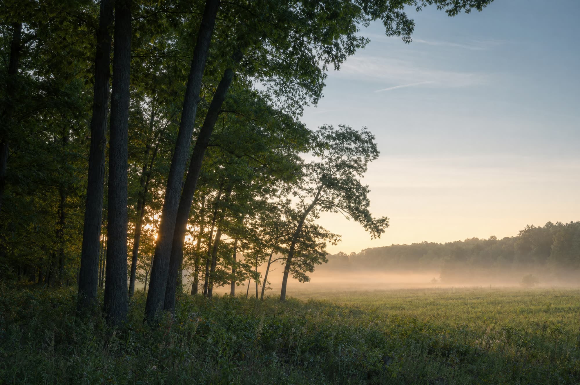 Hunting and Recreational Land